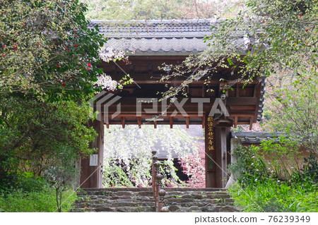 尾張德川家的家廟定光寺 76239349