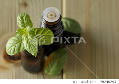 Bottle of mint and aroma oil Bottle of mint and aroma oil 76240293