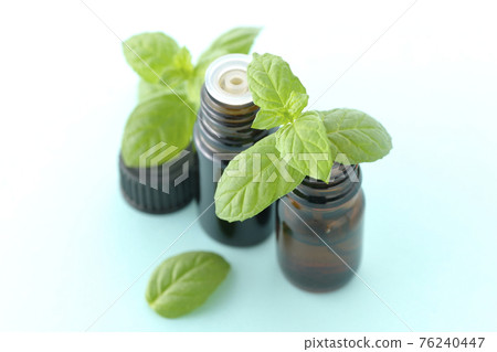 瓶薄荷和芳香油 瓶薄荷和芳香油 76240447