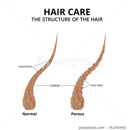 Cuticle of hair close-up 76240448