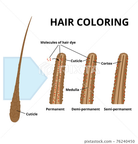 Cuticle of hair close-up 76240450