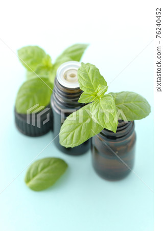 瓶薄荷和芳香油 瓶薄荷和芳香油 76240452
