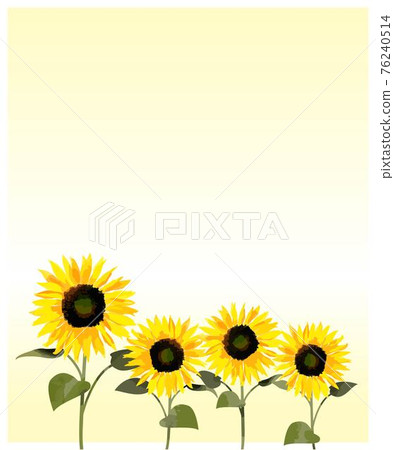 向日葵矢量圖背景素材 76240514