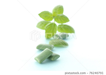 薄荷和口香糖 76240791