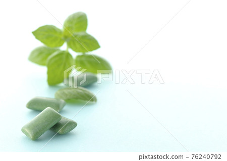Mint and gum 76240792
