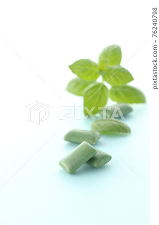 Mint and gum 76240798