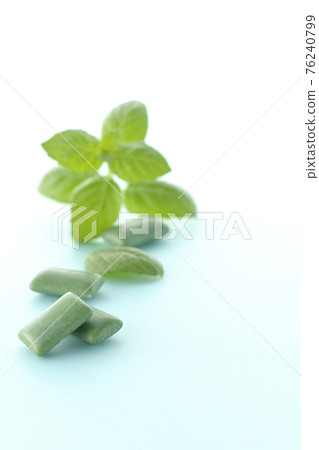 Mint and gum 76240799