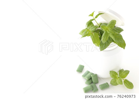 在白色背景上拍攝薄荷、口香糖和瓶子 76240973