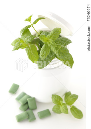 在白色背景上拍攝薄荷、口香糖和瓶子 76240974