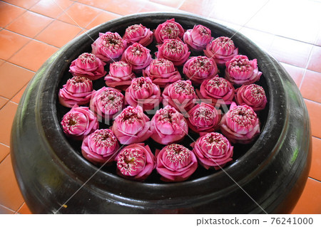 A lotus flower made of cloth at a hotel in Cambodia 76241000