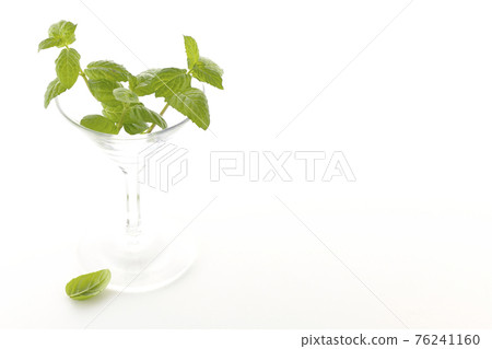 在白色背景上拍攝薄荷和雞尾酒杯 在白色背景上拍攝薄荷和雞尾酒杯 76241160