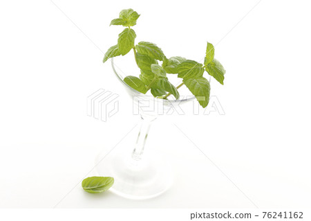 在白色背景上拍攝薄荷和雞尾酒杯 在白色背景上拍攝薄荷和雞尾酒杯 76241162