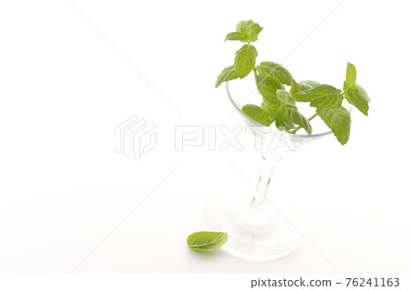 在白色背景上拍攝薄荷和雞尾酒杯 在白色背景上拍攝薄荷和雞尾酒杯 76241163