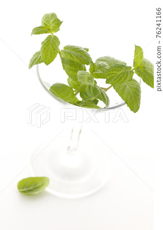 Photographed mint and cocktail glass on a white background 76241166