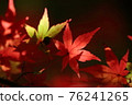 深秋 76241265
