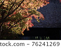秋天的樹葉 76241269