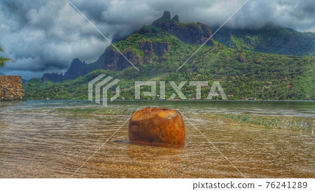 南太平洋塔希提海與椰子 南太平洋塔希提海與椰子 76241289