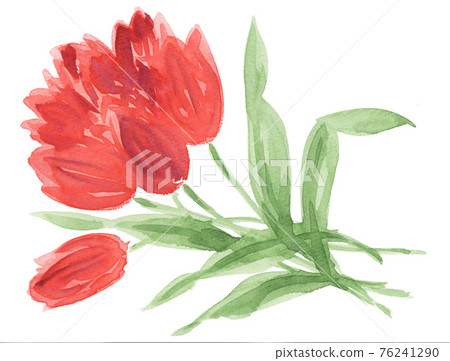 bloom, blossom, blossoms 76241290