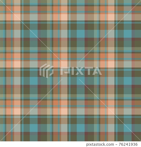Plaid seamless pattern. Vector background of textile ornament. Flat fabric design. 76241936