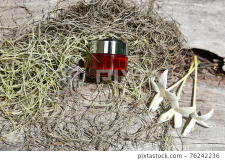 skin care cream container for the dry plant skin and diseased , a sick plant and skin care healing concept skin care cream container for the dry plant skin and diseased , a sick plant and skin care healing concept 76242236