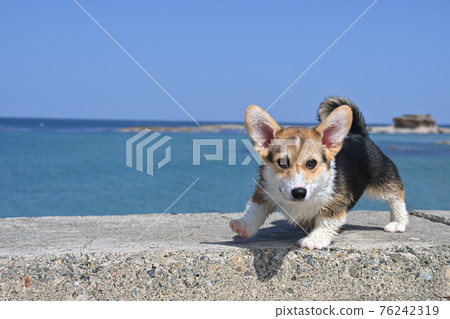 Walking breakwater 76242319