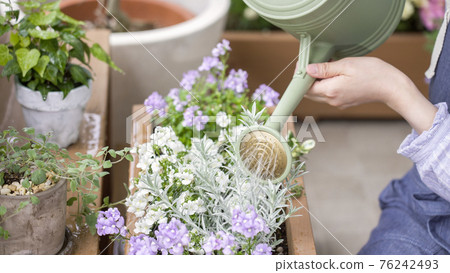 A smiling woman enjoying indoor gardening A smiling woman enjoying indoor gardening 76242493