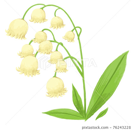 鈴蘭手繪 76243228