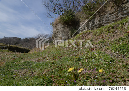 Kamakura strata Kamakura strata 76243318