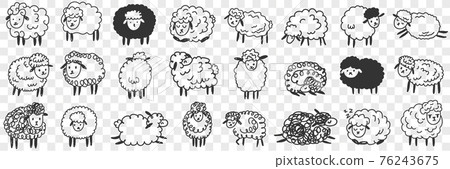 Funny white and black sheep animals doodle set Funny white and black sheep animals doodle set 76243675