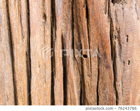 Texture of old stump wood Texture of old stump wood 76243766