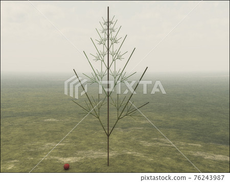 Tree diagram Tree diagram 76243987