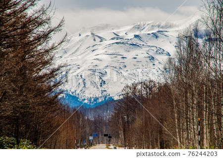 Biei-cho birch and larch tree-lined avenue and Tokachidake mountain range in spring Biei-cho birch and larch tree-lined avenue and Tokachidake mountain range in spring 76244203