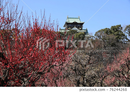 Osaka Castle Park Plum Grove ③ 76244268