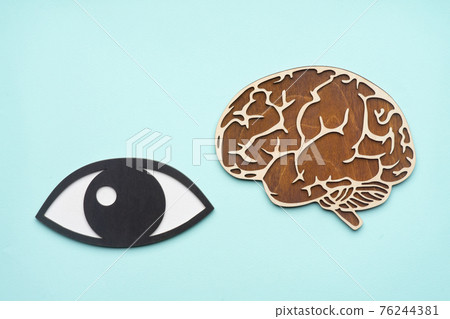 wooden mock eye and brain on blue background wooden mock eye and brain on blue background 76244381