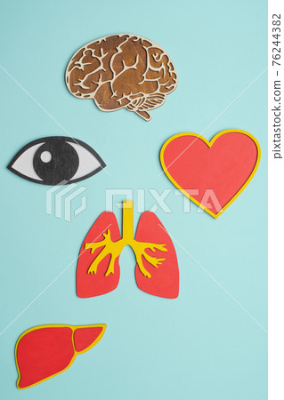 mockup of eyes, brain, lungs, heart and liver on blue background mockup of eyes, brain, lungs, heart and liver on blue background 76244382
