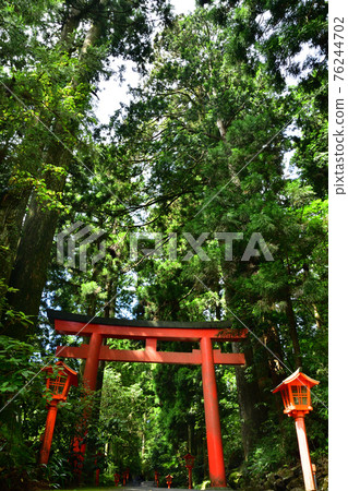 Hakone shrine entrance 76244702