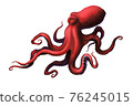 Octopus red large with long tentacles and suckers illustration realism isolate. 76245015