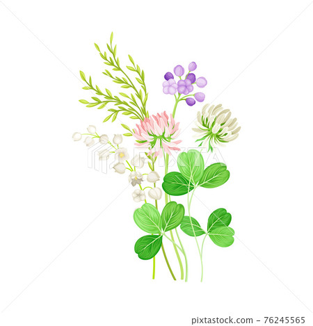 Floral Composition with Wildflowers and Meadow Plants Vector Illustration 76245565