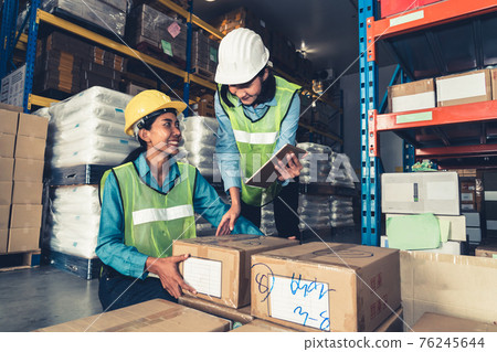 Female warehouse worker working at the storehouse Female warehouse worker working at the storehouse 76245644