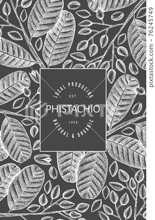 Hand drawn phistachio branch and kernels design template. Organic food vector illustration on chalk board. Retro nut banner. 76245749