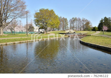 Minuma field: Shichiri park 76246122
