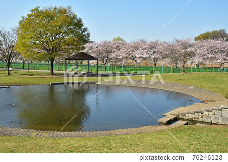 Minuma field: Shichiri park 76246128