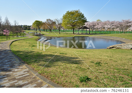 Minuma field: Shichiri park 76246131