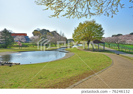Minuma field: Shichiri park 76246132
