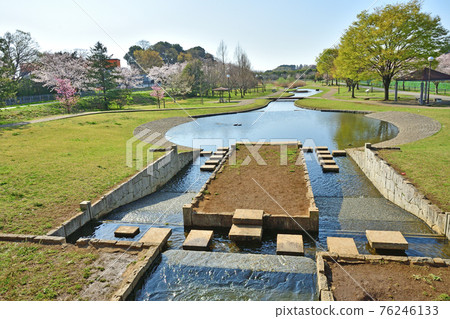 Minuma field: Shichiri park 76246133