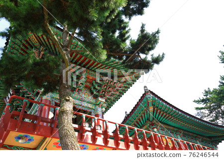 濟州島, 佛教, 寺廟, 觀音寺, 善德寺, 法聖寺, 法華寺, 仙林寺, 櫻花, 春天的花朵, 春天, 蓮花燈, 韓屋, 佛誕 濟州島, 佛教, 寺廟, 觀音寺, 善德寺, 法聖寺, 法華寺, 仙林寺, 櫻花, 春天的花朵, 春天, 蓮花燈, 韓屋, 佛誕 76246544