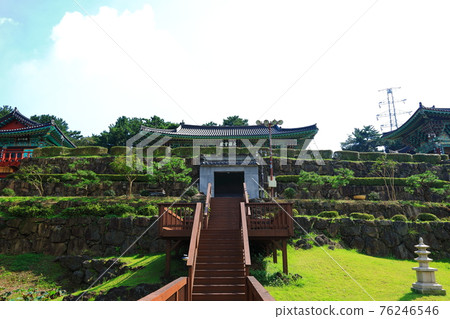 濟州島, 佛教, 寺廟, 觀音寺, 善德寺, 法聖寺, 法華寺, 仙林寺, 櫻花, 春天的花朵, 春天, 蓮花燈, 韓屋, 佛誕 76246546