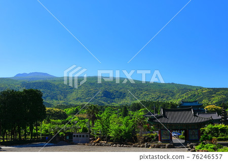 Jeju, Buddhism, temple, Gwaneumsa, Seondeoksa, Beopseongsa, Beophwasa, Seonlimsa, cherry blossoms, spring flowers, spring, lanterns, Hanok, Buddha's birthday 76246557