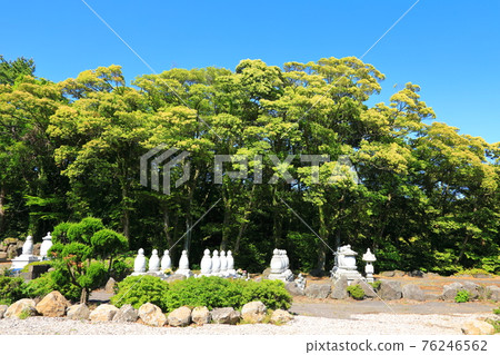 Jeju, Buddhism, temple, Gwaneumsa, Seondeoksa, Beopseongsa, Beophwasa, Seonlimsa, cherry blossoms, spring flowers, spring, lanterns, Hanok, Buddha's birthday 76246562