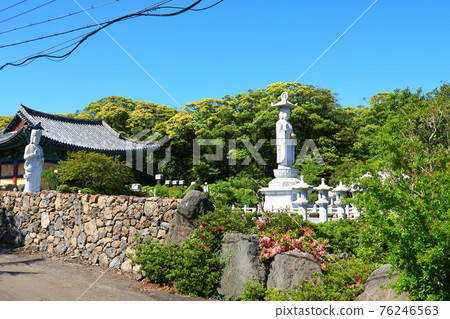 Jeju, Buddhism, temple, Gwaneumsa, Seondeoksa, Beopseongsa, Beophwasa, Seonlimsa, cherry blossoms, spring flowers, spring, lanterns, Hanok, Buddha's birthday Jeju, Buddhism, temple, Gwaneumsa, Seondeoksa, Beopseongsa, Beophwasa, Seonlimsa, cherry blossoms, spring flowers, spring, lanterns, Hanok, Buddha's birthday 76246563